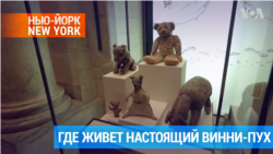 Оригинальные игрушки Кристофера Робина живут в Нью-Йоркской библиотеке 