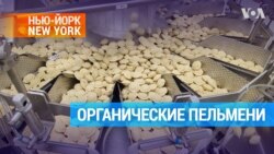 Органические пельмени в Нью-Йорке 