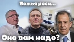 Оно вам надо? Воскресный проект Александра Герасимова