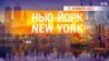 «Нью-Йорк New York». 21 ноября 2021